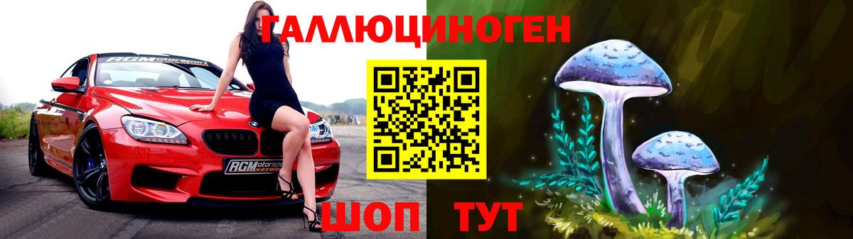 Донской  Галлюциногенные грибы GOLDEN TEACHER  Вход с VPN 